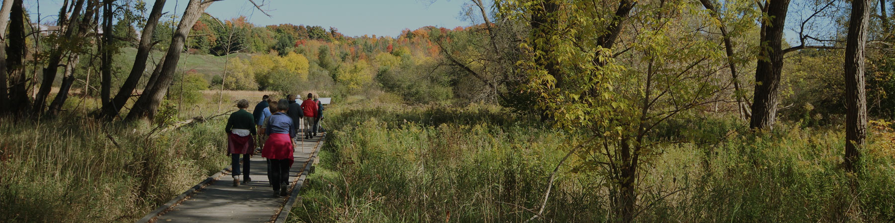 small group of residents walking on a local boardwalk trail through the woods